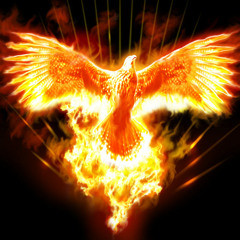 Phoenix_Remix