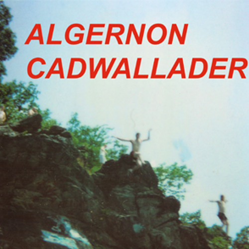 "Spit Fountain" by ALGERNON CADWALLADER