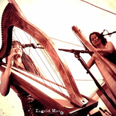 08 The Bendy Set=The Bendy Tune; Good Man In The Kitchen; Dudley Drive