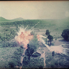 Freedom They Fought For