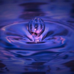 Swimming - Alina Tucker