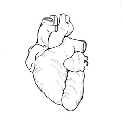 Foxrox - Cant Live Without You