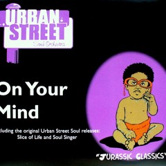 Urban Street Soul Orchestra - "Soul singer" (Toto Records) Promo