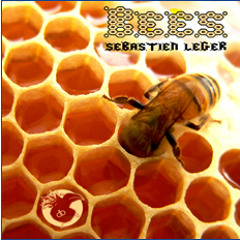 Sébastien Léger - Bees (Dirtybird)