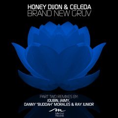 Honey Dijon & Celeda - Brand New Groove -Joubin Remix