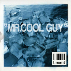 Mr Cool Guy