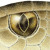 Artwork for DRT-Snake eye