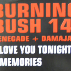 Renegade + Damaja - Love You Tonight