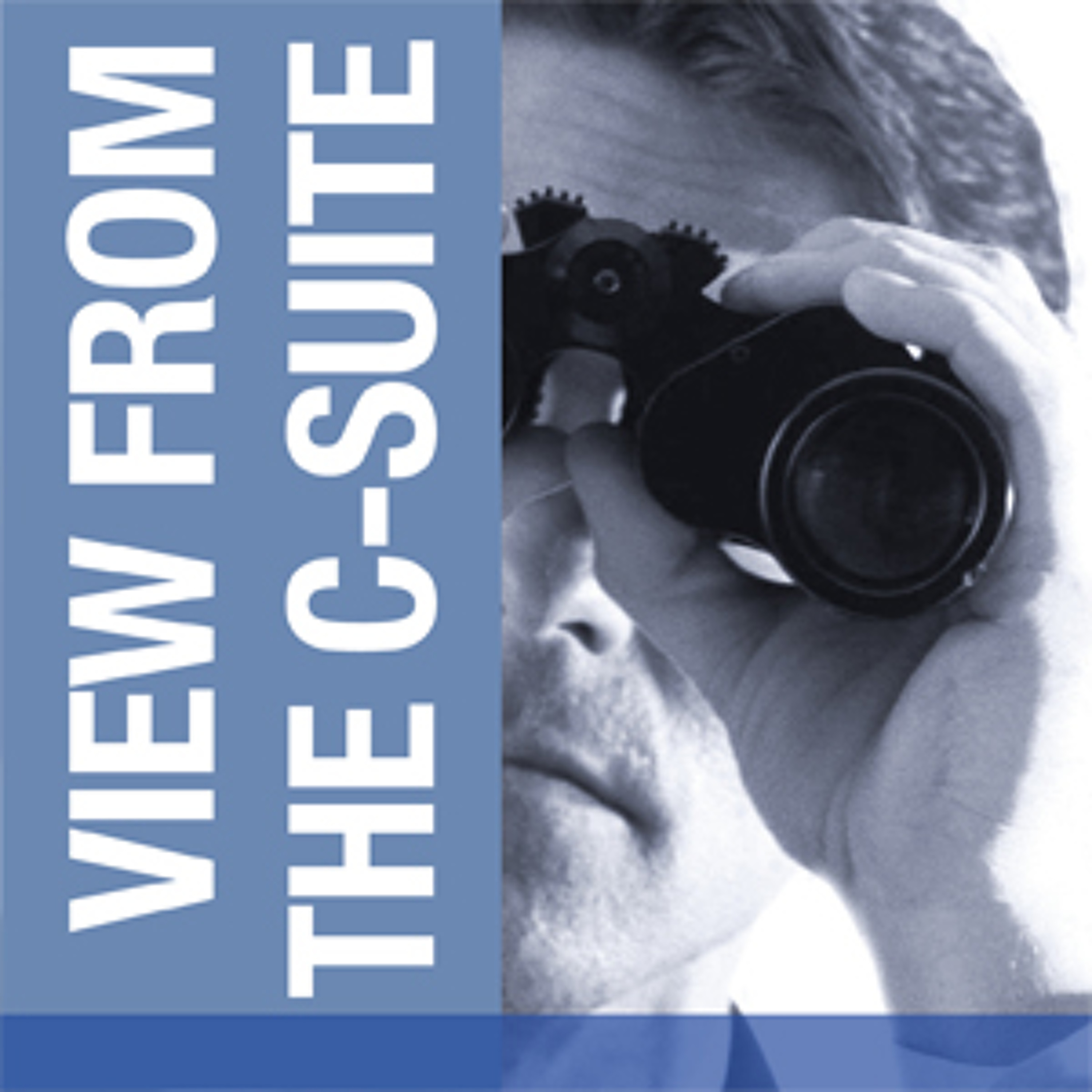 Enterprise Leadership in a Brave New World  View From the C-Suite