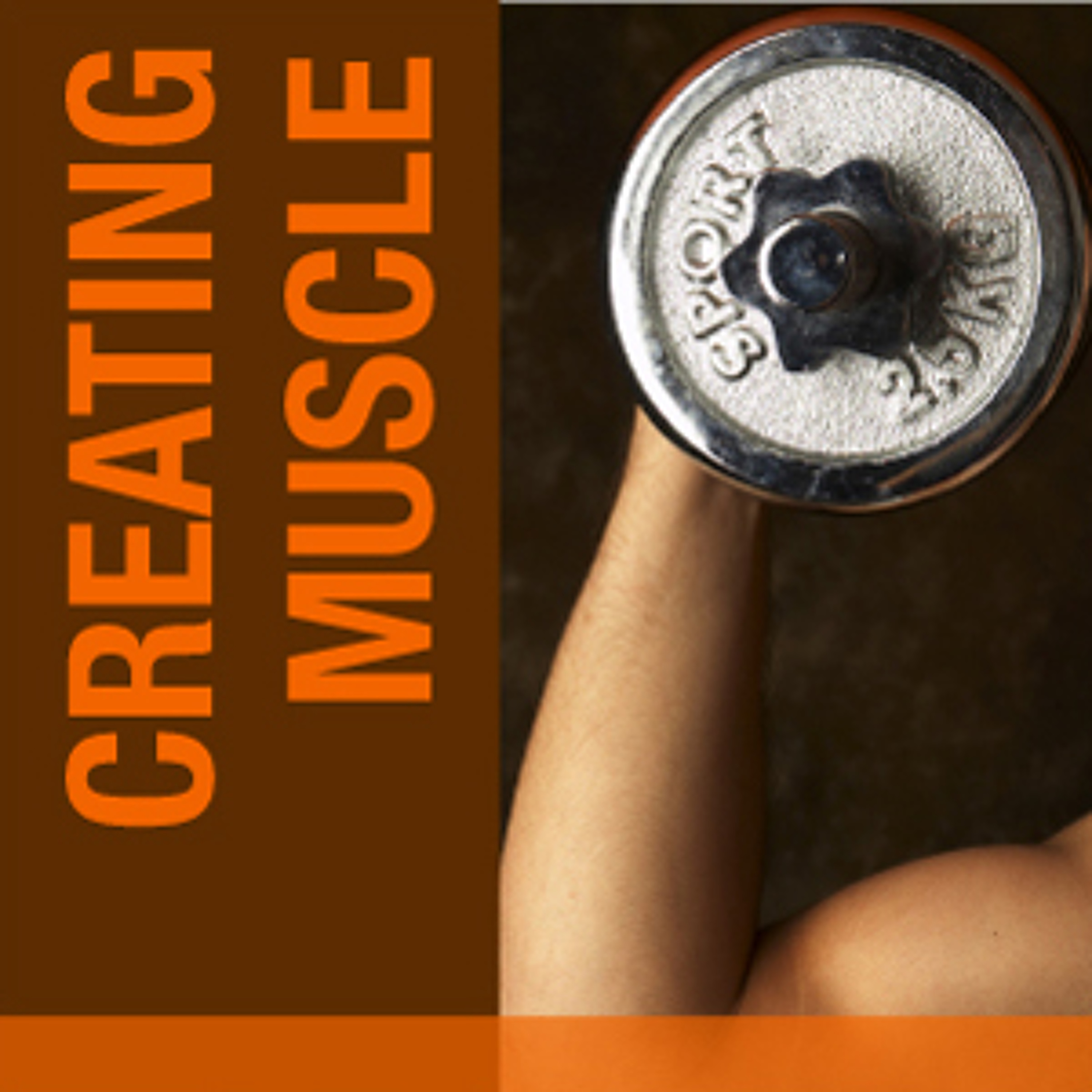 How to Create Muscle in your Benchmarking: Creating Muscle