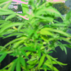 Bonzai - Ligature [April 2011 Electro Dubstep House 80's]