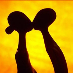 Talk To Me - Ms.Darks Produced by HerdaVim