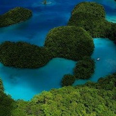 AUDIOPHILE + JAVIER C. - INNER BLUE V2 [ [WBRDA0021]