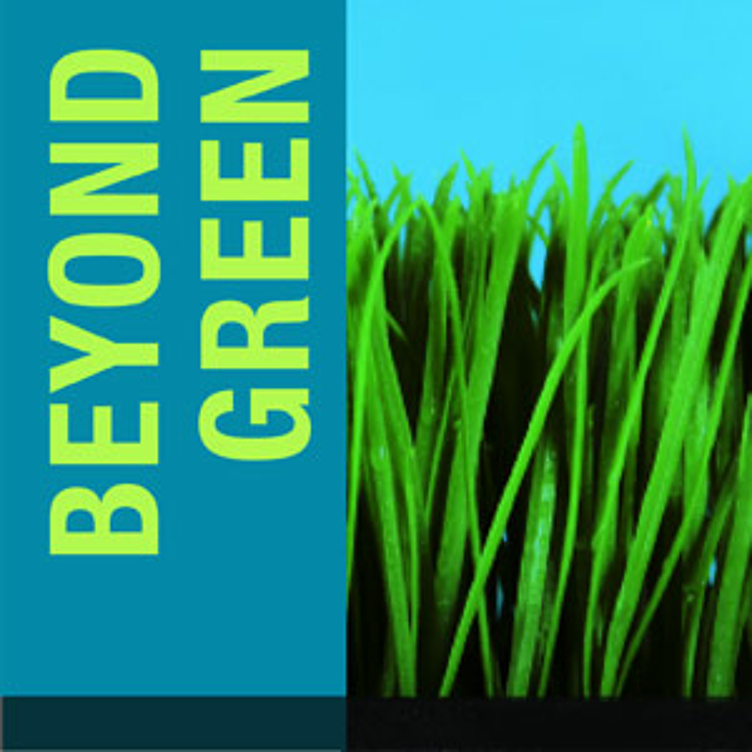 Beyond Green: Government Leaders Contemplate the Next Step