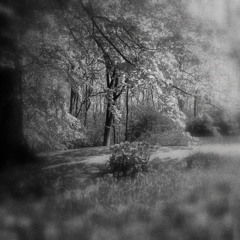 Glen Jones Spring 2011