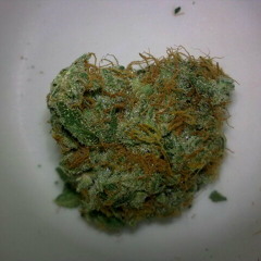 Kazer - Rappin' For Food (prod. PinokYo)