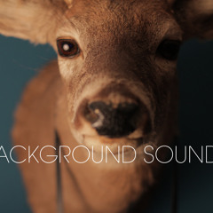Background Sound Showcase