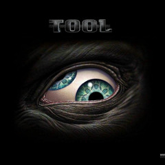 Tool remixes