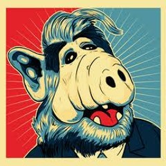 TRACKWASHER : Beatnik teacher