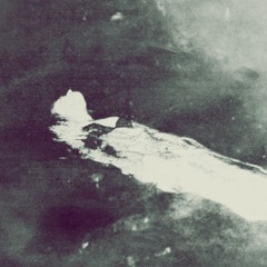 Brazzaville + Tijin - LAX
