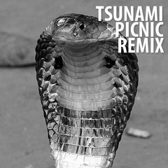 Robyn - Cobrastyle (Tsunami Picnic Drumstep Refix)