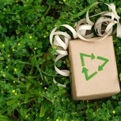 楊千嬅、鄭伊健、車婉婉、林曉峰 - 綠色聖誕加個橙