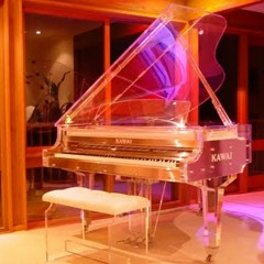 The Von Duesz - It's like Grand Piano (Phantomsignal Remix)