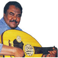 هاديه طلسم - مافي انسان