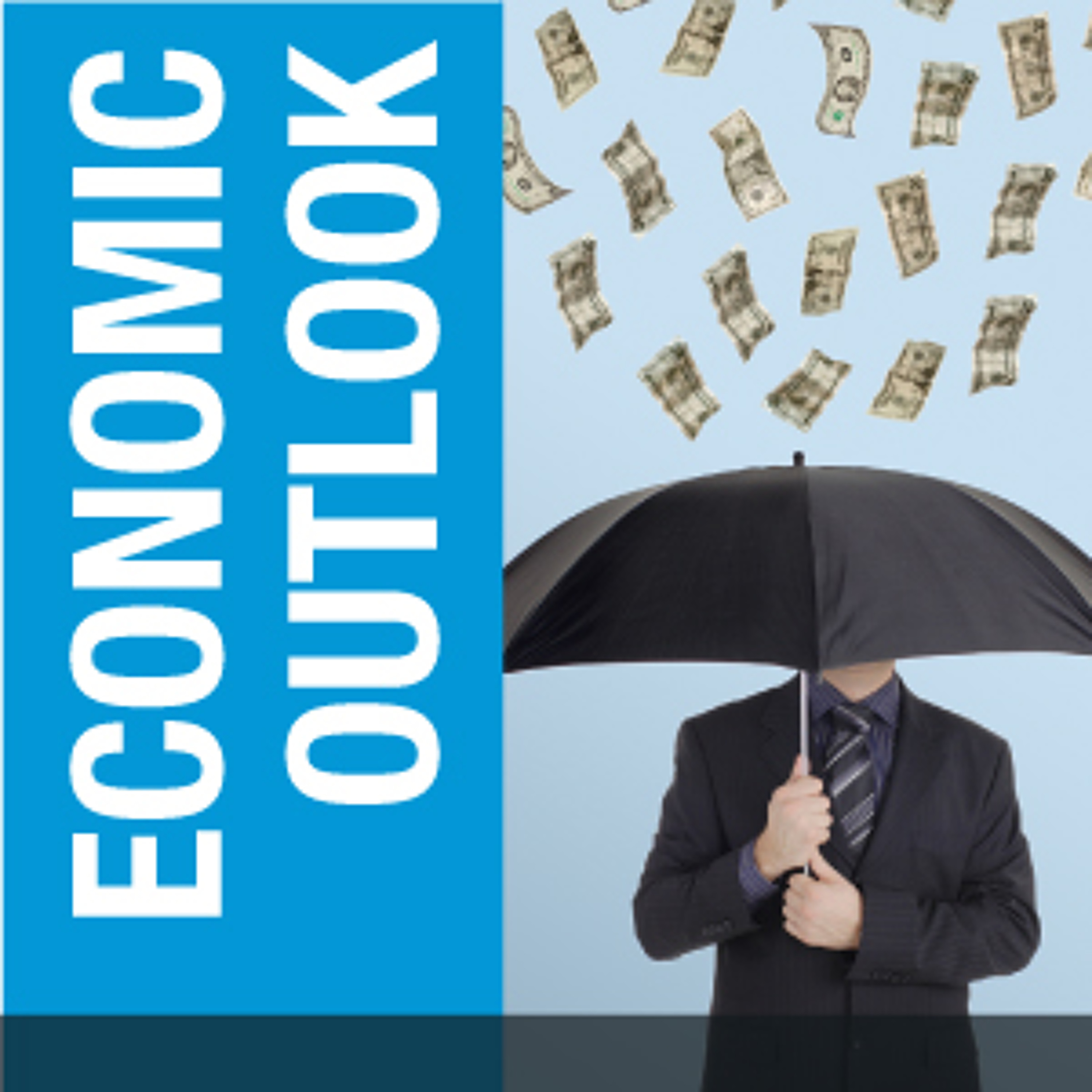 2009 Economic Forecast:  Deal or New Deal?