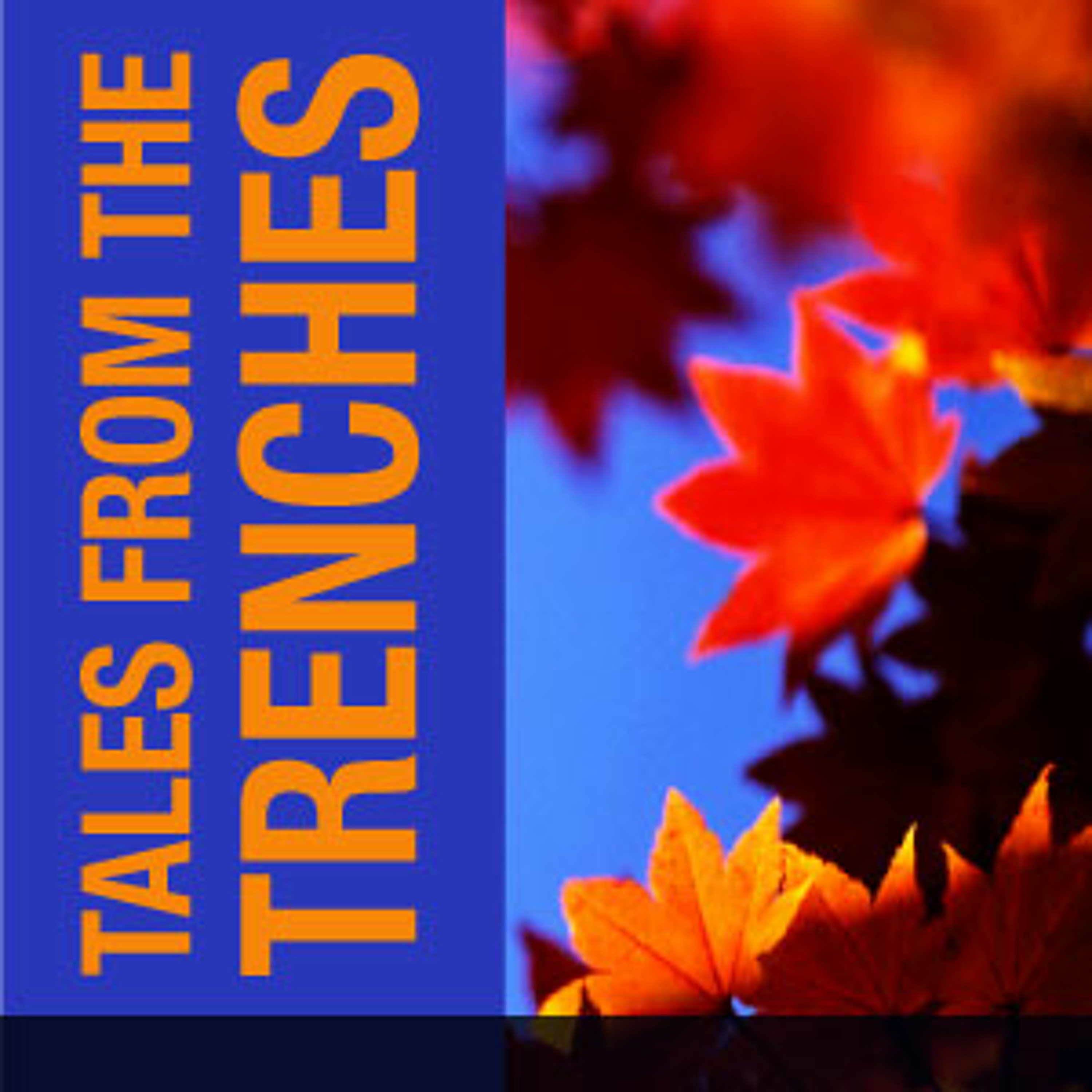 Tales from the Trenches: 