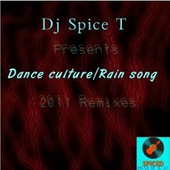 Dj Spice T- Rain Song feat.Glen The Guiterist (For Vic Lanox 2011 Edit Version)