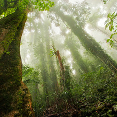 Psychill 1 - "A Fresh Landing"