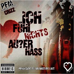 Crizz-Ich fühl nichts außer Hass