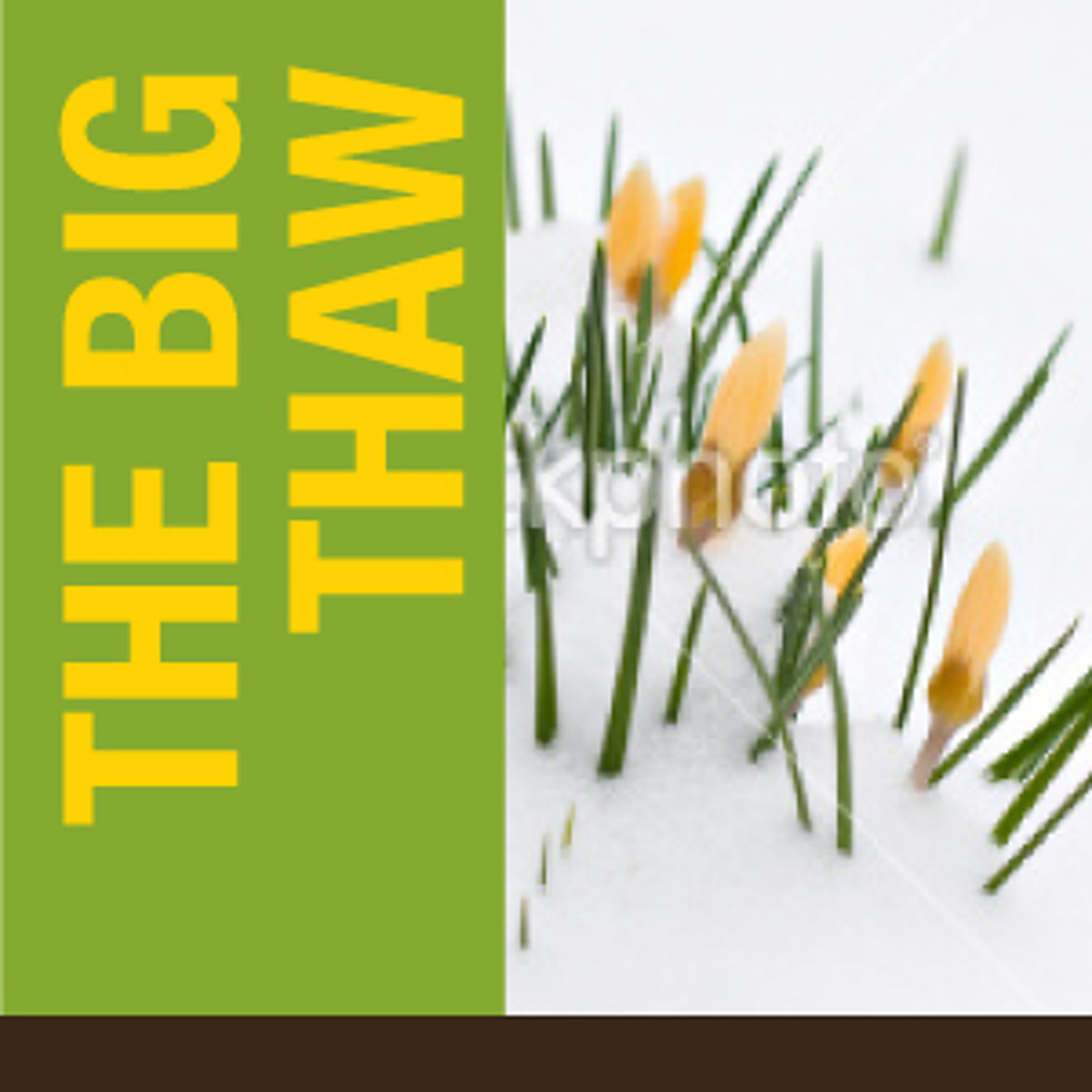 The Big Thaw Out: Investment Sales & Capital Marketing