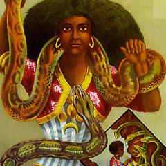 The serpent and the crossbow