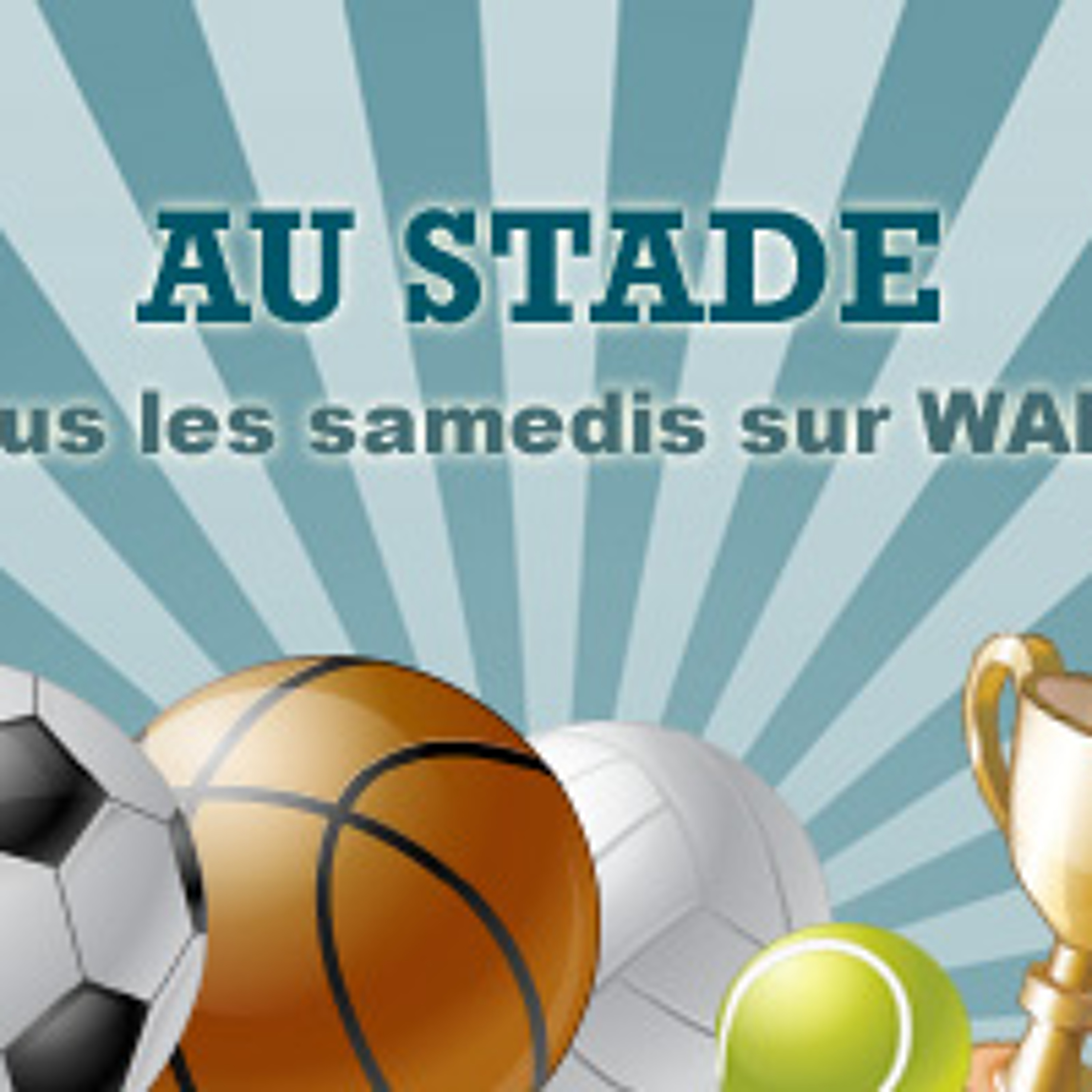 Austade043011