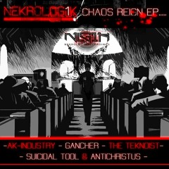 Suicidal Tool feat. Antichristus - Chaos reigns (Nekrolog1k digital ep 04)