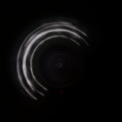 Leaves Along the Stream