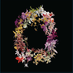 Body Movement - The Berg Sans Nipple