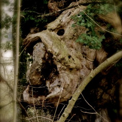 These Memories-John Trudell