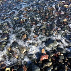 Under the Paving Stones, the Beach!