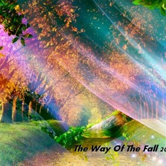 Atari Beats @ The Way of The Fall 2011 - Free Download!!! (Fragmento)