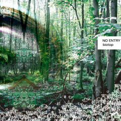 ストロボ(strobe)