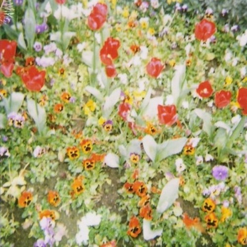 Mutual Benefit - Here