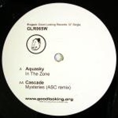 'In The Zone' - Aquasky - Good Looking Records 2003