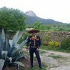 La Ley del Monte