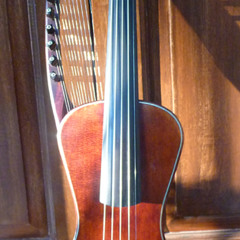 Beestaar Violin