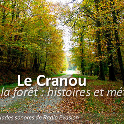 Forêt du Cranou