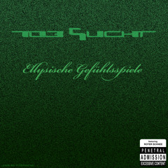 17 Lateralus (Tob Sucht Remix)