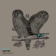 Hector - Promise